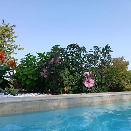 La Du Grand Cedre Bed & Breakfast